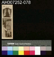 藏品(じをり型學習博物館：レントゲン線。)的圖片